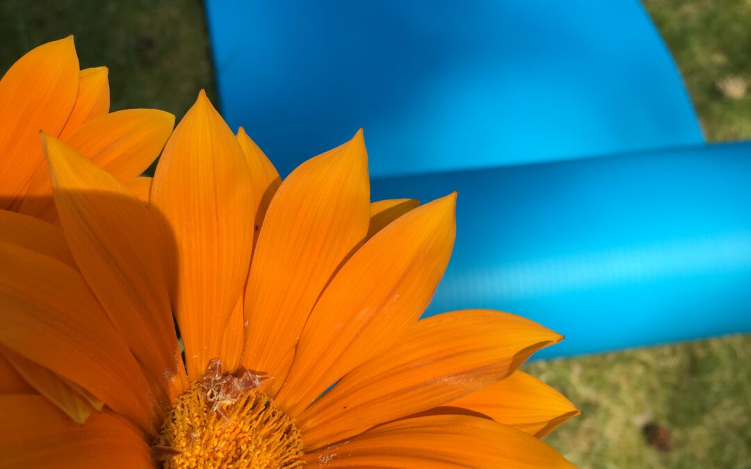 Kontakt- und Beratungsstelle für Selbsthilfe in Eberswalde: Yoga mal anders